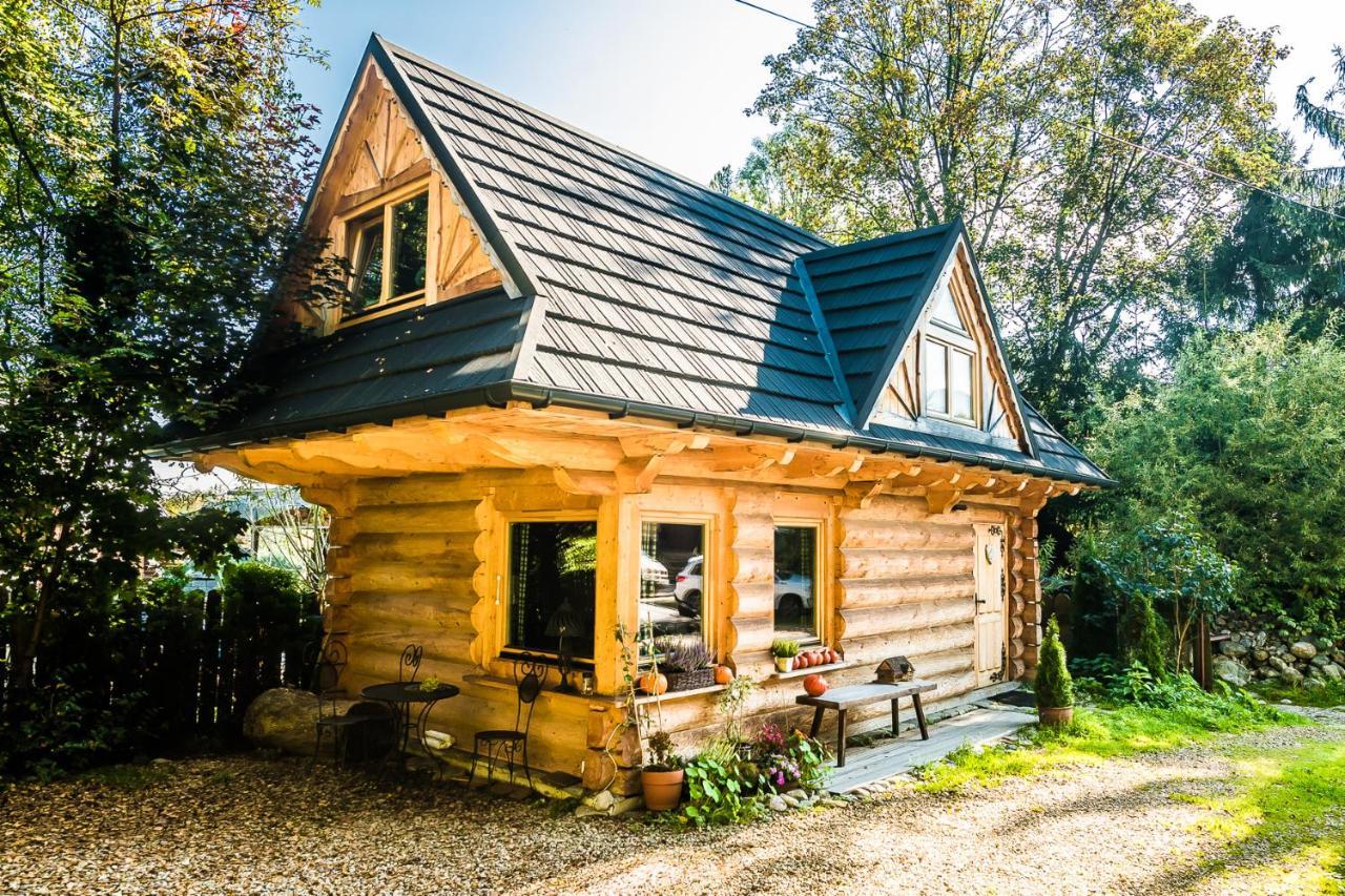 Tatrytop Chatka Kratka Zakopane Eksteriør billede